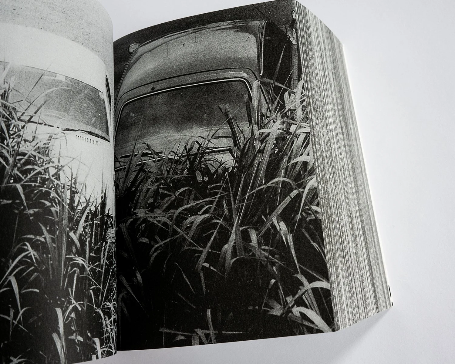 Instant Light: Tarkovsky Polaroids — bookdummypress